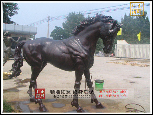 8762948592_1814405577.jpg 8762948592_1814405577.jpg